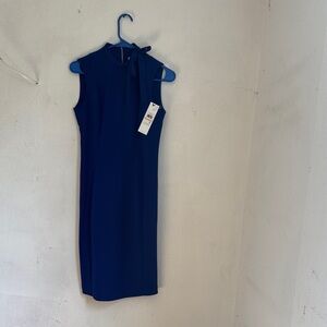 Elegant Blue Sleeveless Dress size 2